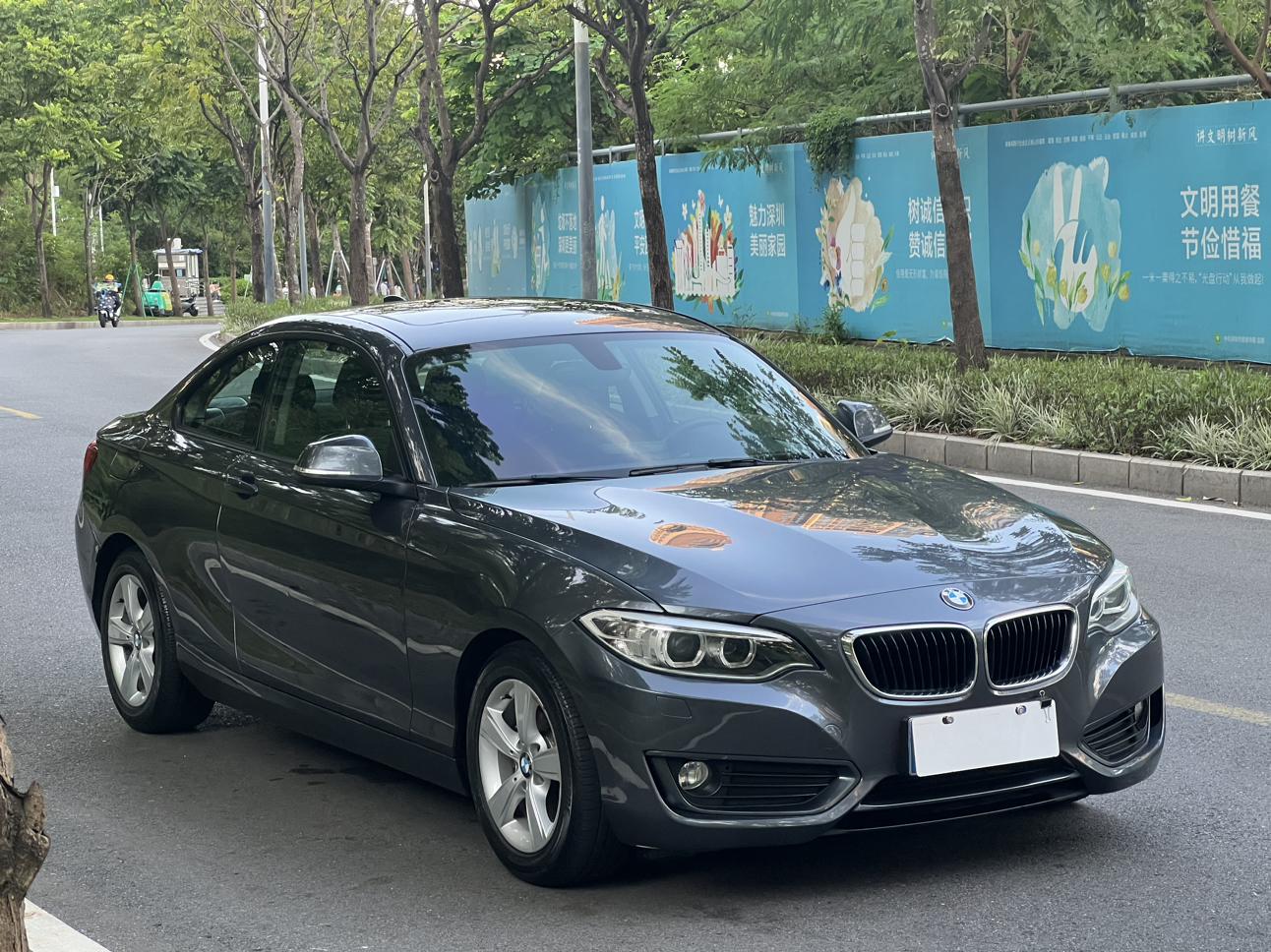 BMW 2 серии 2014 1