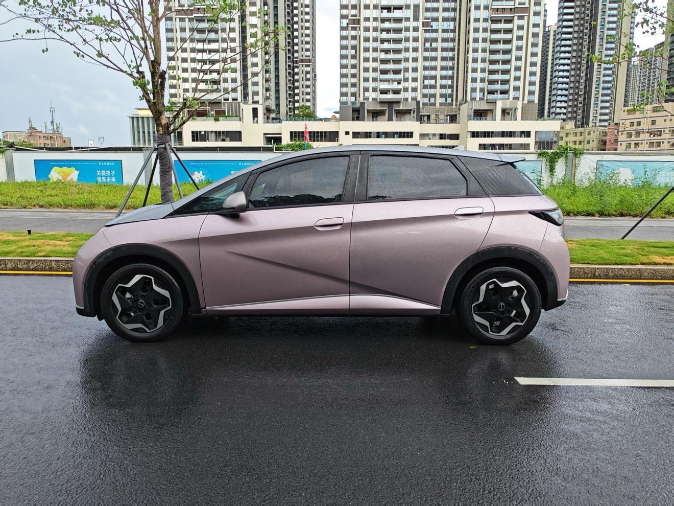 BYD Dolphin 2021 1