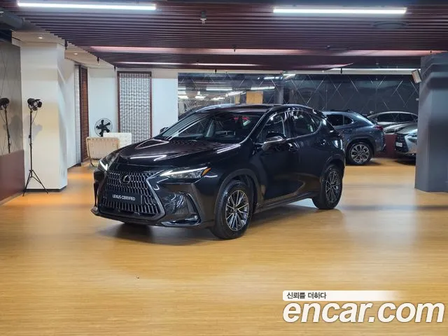 Lexus NX 2025 1